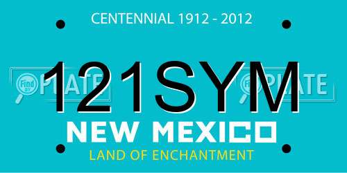 121SYM New Mexico License Plate