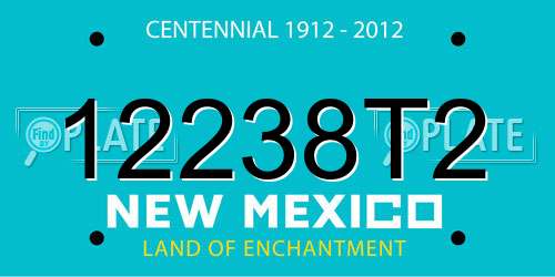 12238T2 New Mexico License Plate