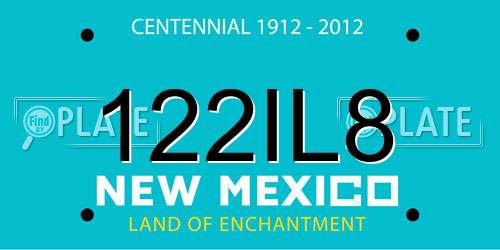 122IL8 New Mexico License Plate