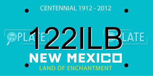 122ILB New Mexico License Plate