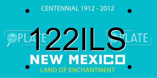 122ILS New Mexico License Plate