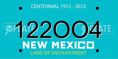 122OO4 New Mexico License Plate