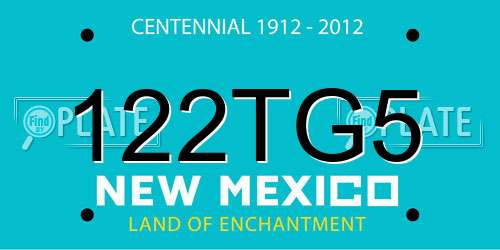 122TG5 New Mexico License Plate