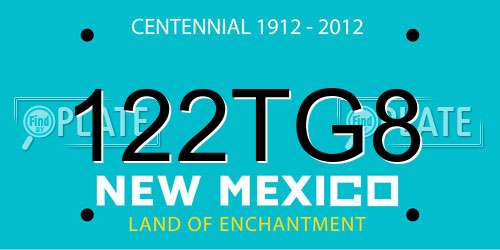 122TG8 New Mexico License Plate