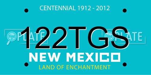 122TGS New Mexico License Plate