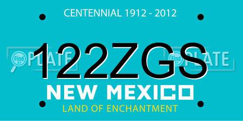 122ZGS New Mexico License Plate