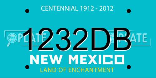 1232DB New Mexico License Plate