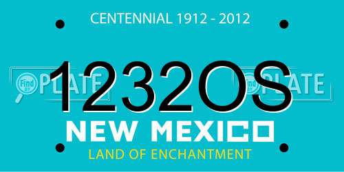 1232OS New Mexico License Plate