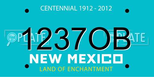 1237OB New Mexico License Plate