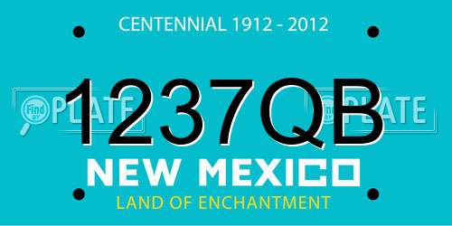1237QB New Mexico License Plate