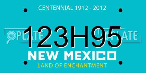 123H95 New Mexico License Plate