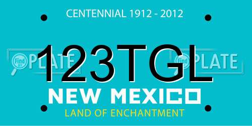 123TGL New Mexico License Plate