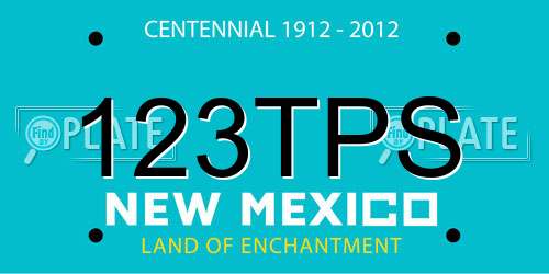 123TPS New Mexico License Plate