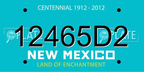 12465D2 New Mexico License Plate