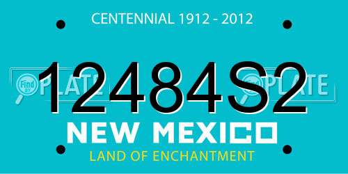 12484S2 New Mexico License Plate