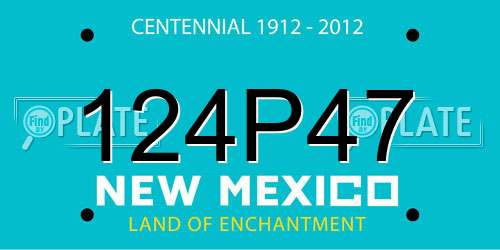 124P47 New Mexico License Plate