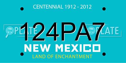 124PA7 New Mexico License Plate