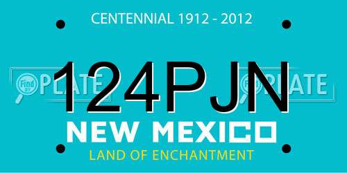 124PJN New Mexico License Plate