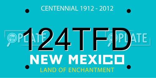 124TFD New Mexico License Plate