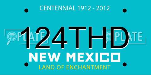 124THD New Mexico License Plate