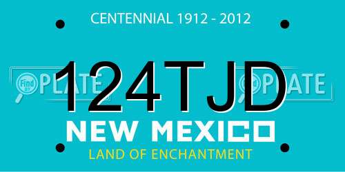124TJD New Mexico License Plate