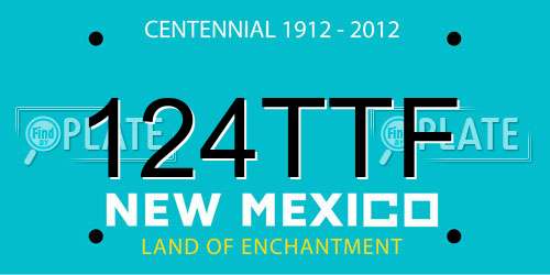 124TTF New Mexico License Plate