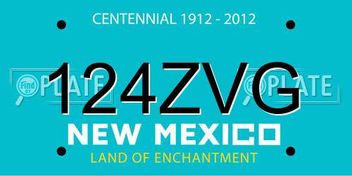 124ZVG New Mexico License Plate