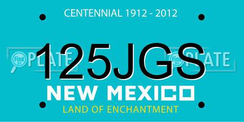 125JGS New Mexico License Plate