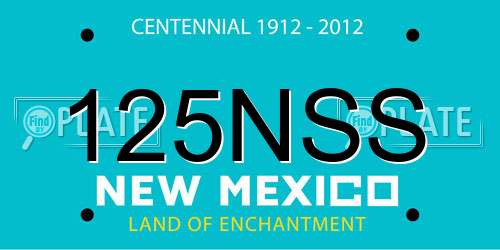 125NSS New Mexico License Plate