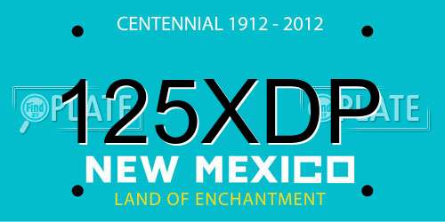 125XDP New Mexico License Plate