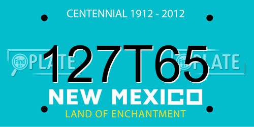 127T65 New Mexico License Plate