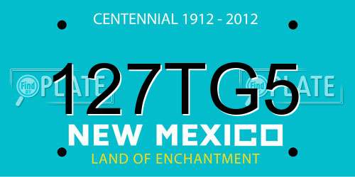127TG5 New Mexico License Plate