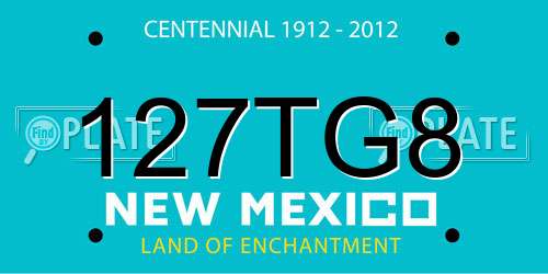 127TG8 New Mexico License Plate