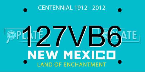 127VB6 New Mexico License Plate