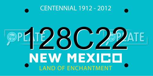 128C22 New Mexico License Plate