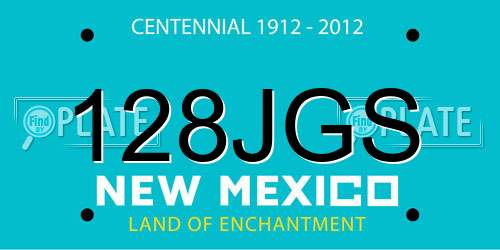 128JGS New Mexico License Plate