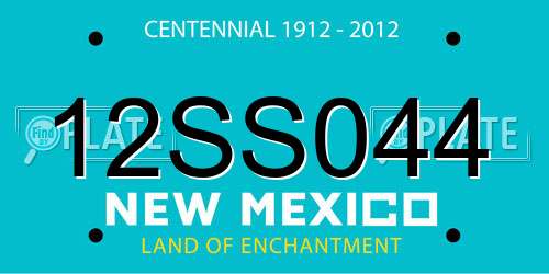 12SS044 New Mexico License Plate