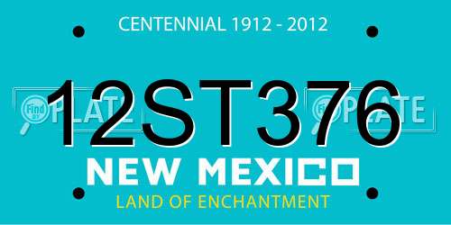 12ST376 New Mexico License Plate