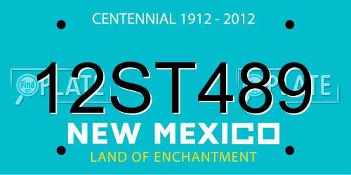 12ST489 New Mexico License Plate