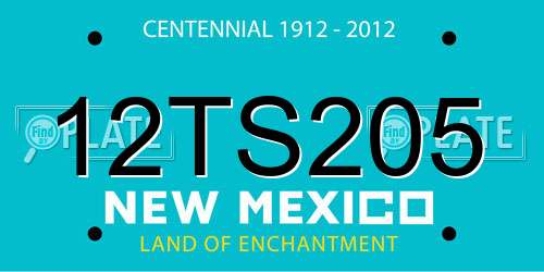 12TS205 New Mexico License Plate