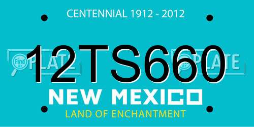 12TS660 New Mexico License Plate