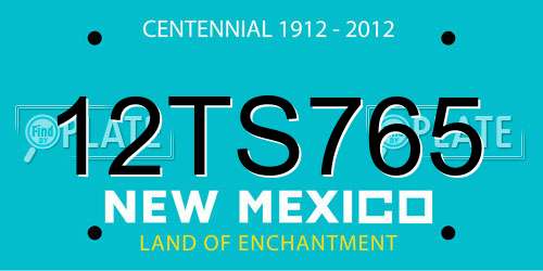 12TS765 New Mexico License Plate