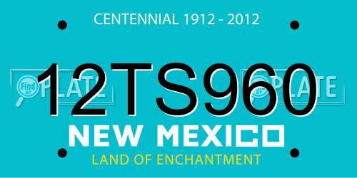 12TS960 New Mexico License Plate