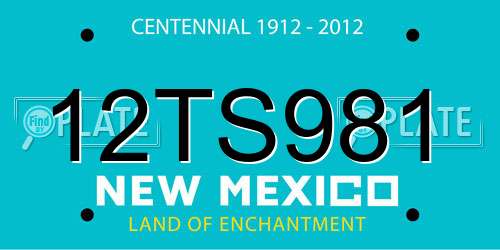 12TS981 New Mexico License Plate