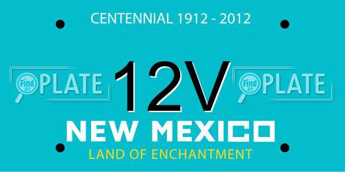 12V New Mexico License Plate