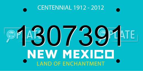 1307391 New Mexico License Plate