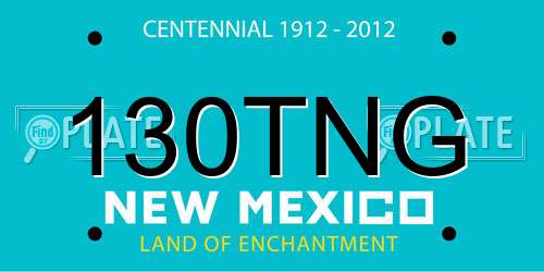 130TNG New Mexico License Plate