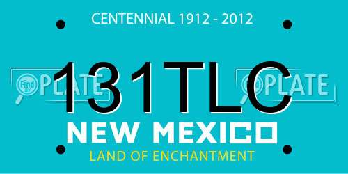 131TLC New Mexico License Plate