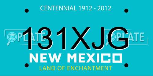 131XJG New Mexico License Plate