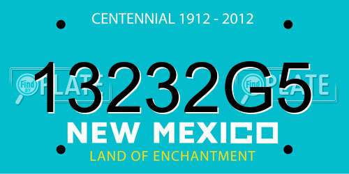 13232G5 New Mexico License Plate